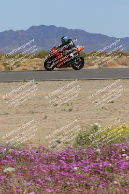 media/Mar-12-2023-SoCal Trackdays (Sun) [[d4c8249724]]/Turn 15 Inside Bloom (130pm)/